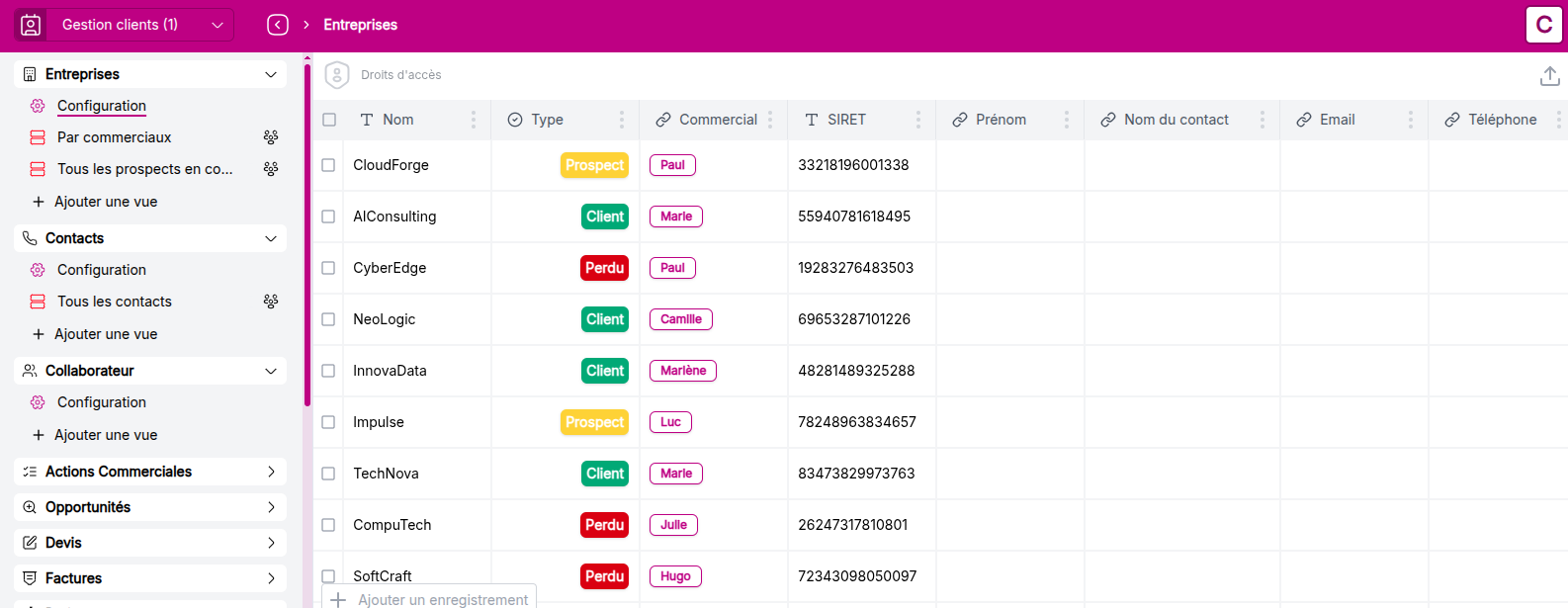 Vue de l'objet Entreprises après import des données