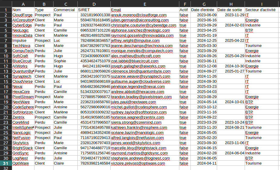 Configuration du fichier .csv pour l'import des données relatives aux entreprises